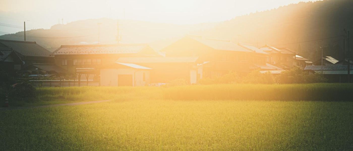 夕方の光が差す田んぼと、瓦屋根の家並み